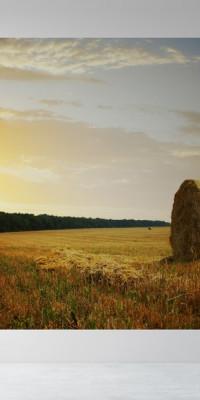 Poszter tájképTPT040